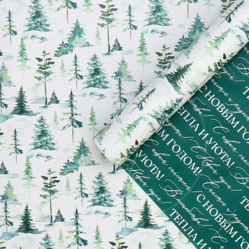 Бумага упаковочная "Волшебный праздник" 100х70 см 9799453
